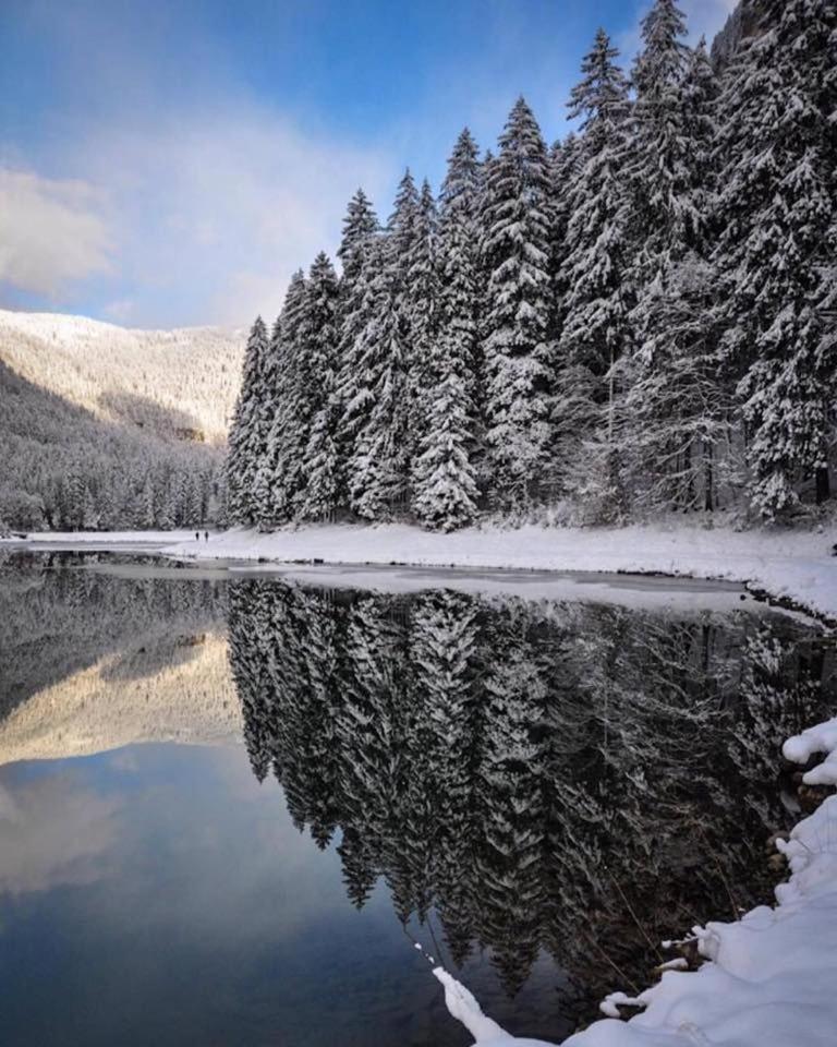 Chalet Adonis - Montriond, Morzine, Avoriaz 外观 照片