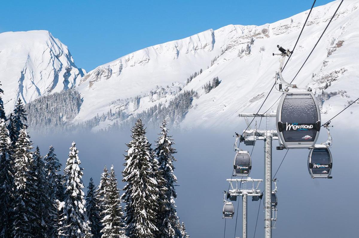 Chalet Adonis - Montriond, Morzine, Avoriaz 外观 照片